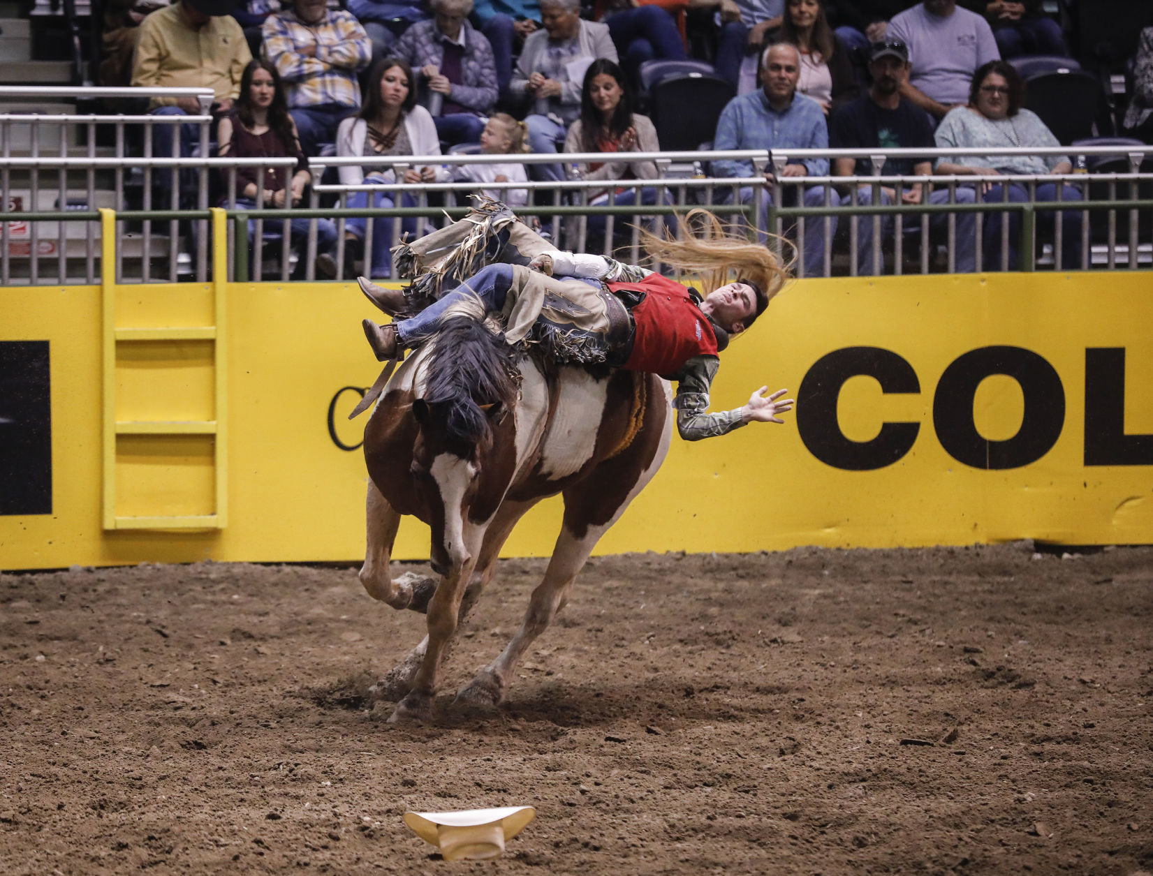CNFR - Tuesday